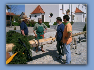 maibaum2.jpg